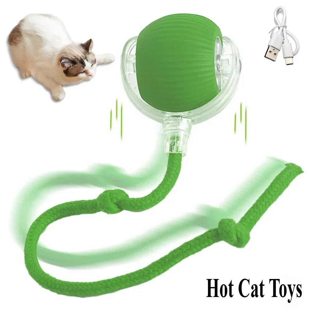 Interactive Toy Cat