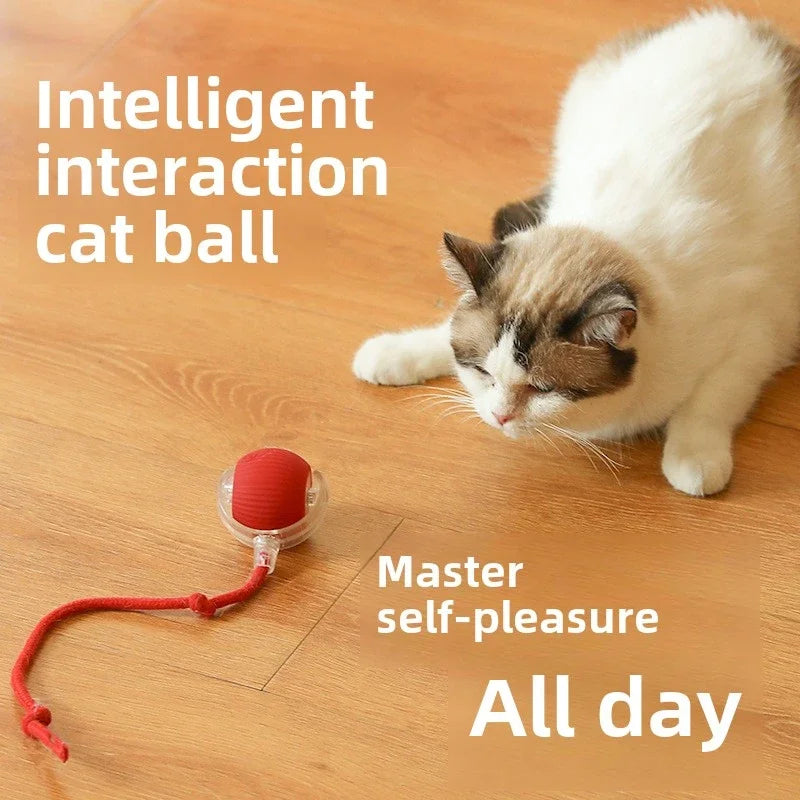 Interactive Toy Cat