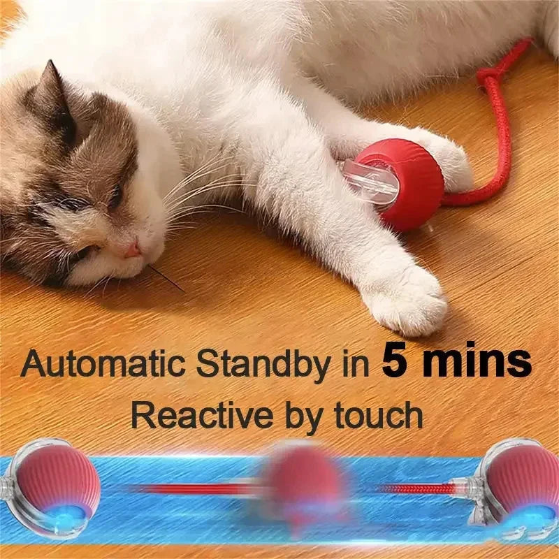 Interactive Toy Cat