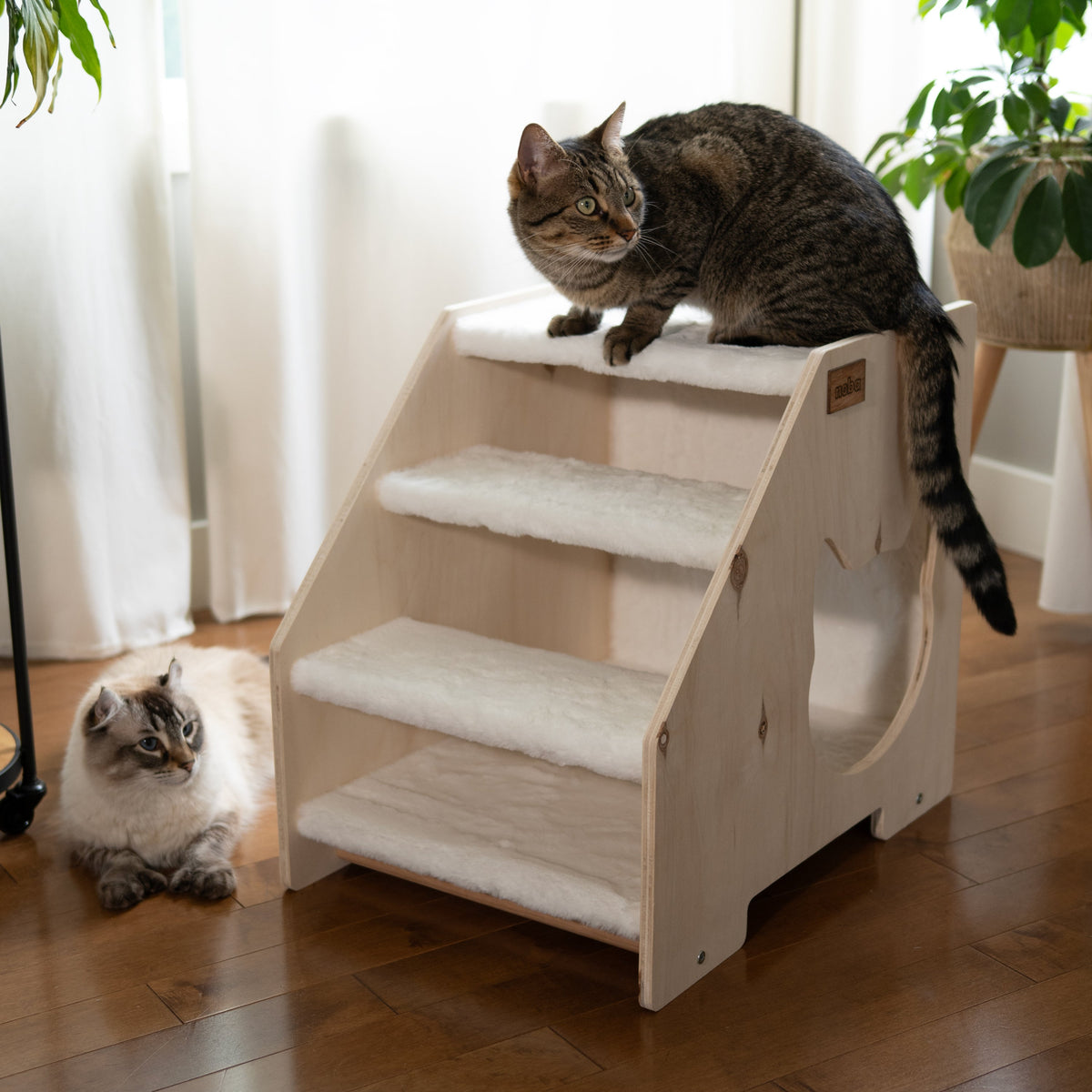 Stairs Hideout for Cats and Small Dogs – Cat Stairs, Cat Steps, Stairs for Pets, Cat Hideout & Cat Furniture