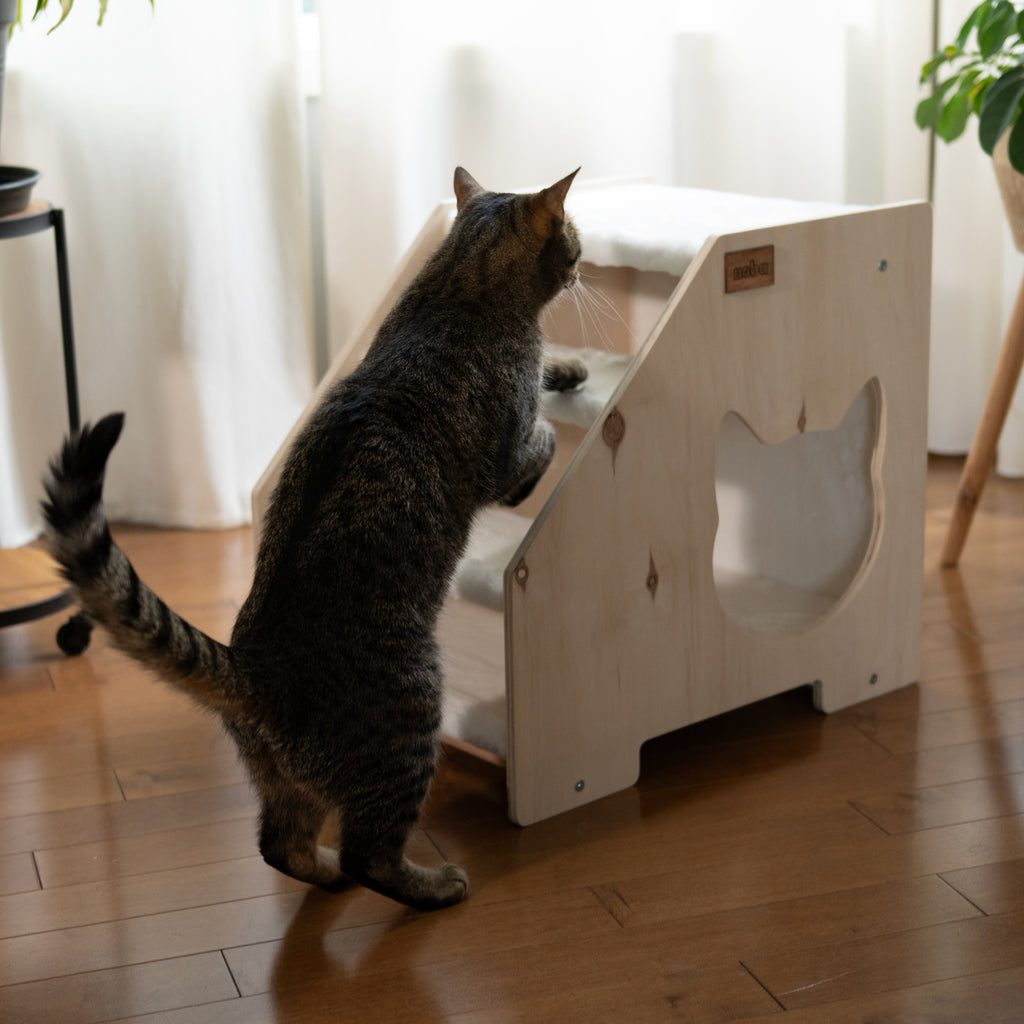 Stairs Hideout for Cats and Small Dogs – Cat Stairs, Cat Steps, Stairs for Pets, Cat Hideout & Cat Furniture