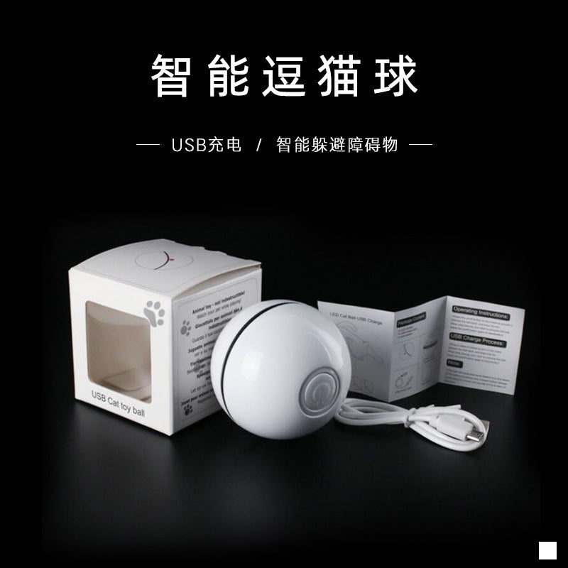 Pet Cat Toy LED Luminous Funny Cat Ball USB Charging Smart Funny Cat Toy Electric Rolling Ball Called The Ball