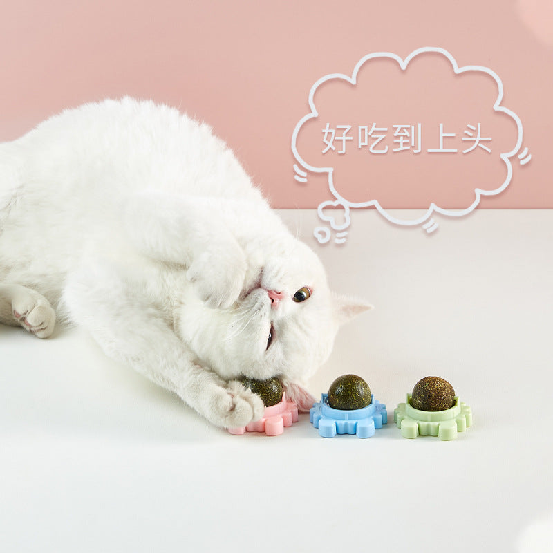 Catnip Wall Ball