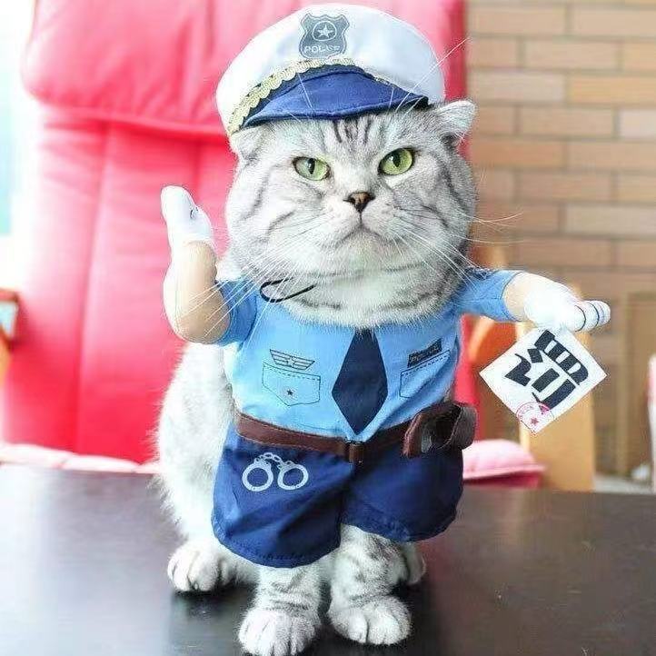 Funny Pet Clothes For Cats And Dogs, Upright Transformation Outfits, Cat Clothes, Dog Funny British Shorthair Cute Summer Thin Style