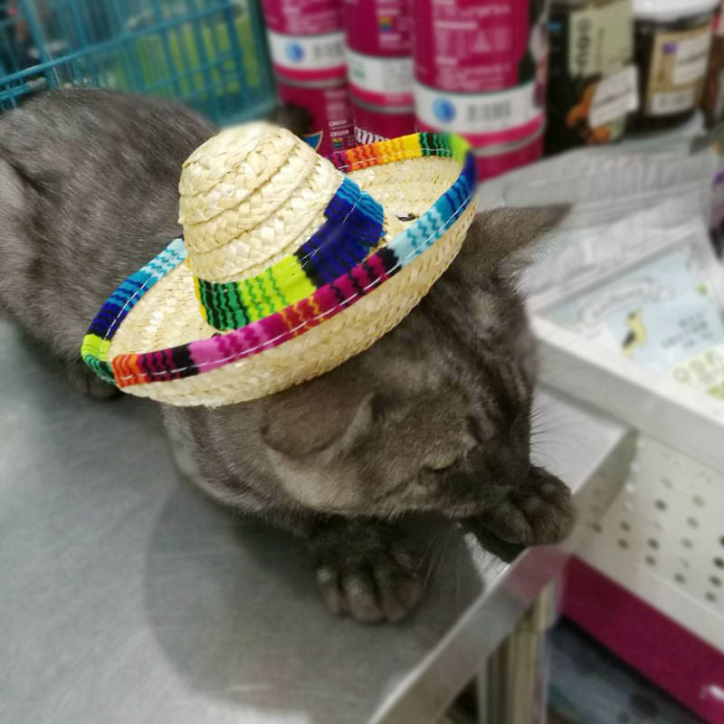 Pet Supplies Straw Mini Pet Dog Straw Hat
