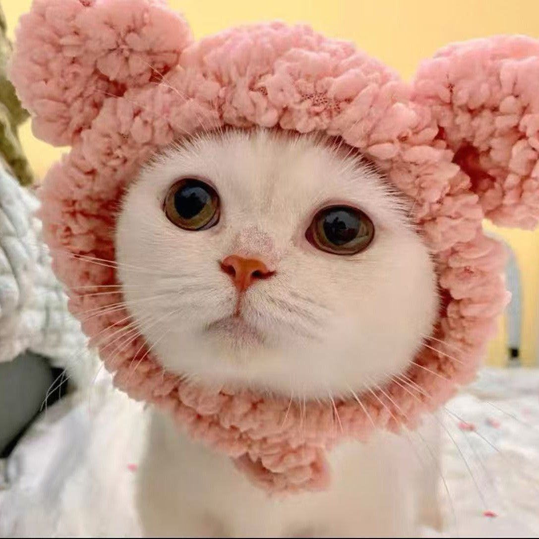 Four Seasons Pet Hat Bear Plush Headgear British Short Cute Ears Cat Small Dog Funny Headwear Photo